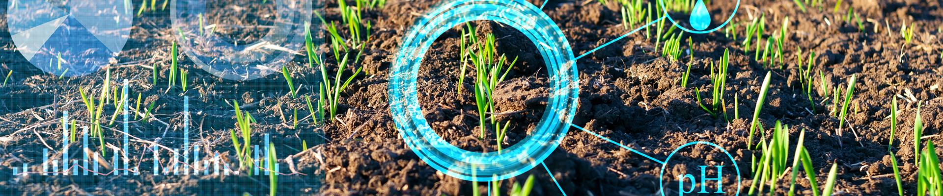 Grondruilfonds Peelvenen