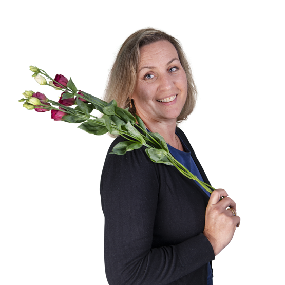 Karlijn 2 Vierkant Nieuw