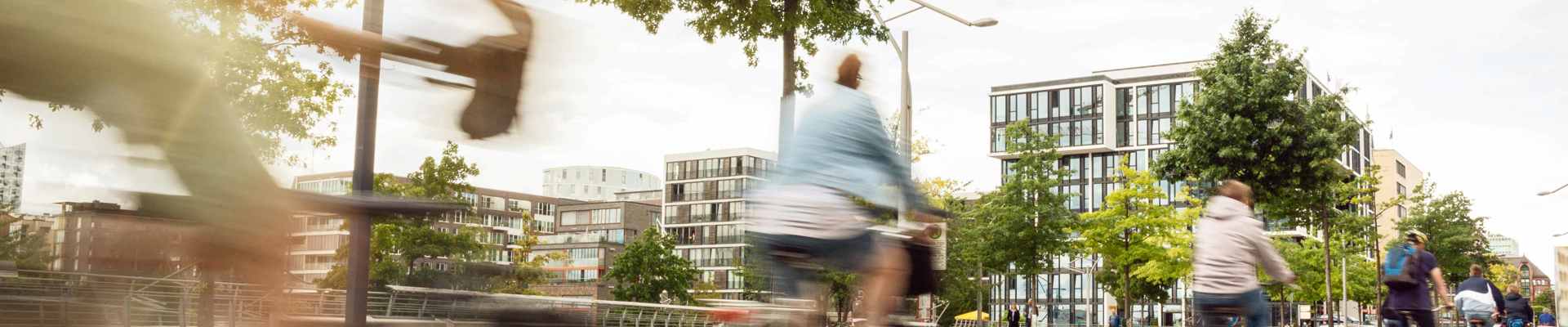 Gedragsverandering.jpg (1)