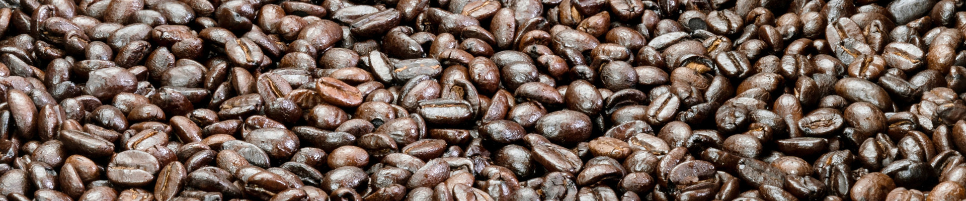 Bakkie Emmen Irissijbom Fotografie IR101610 (1)