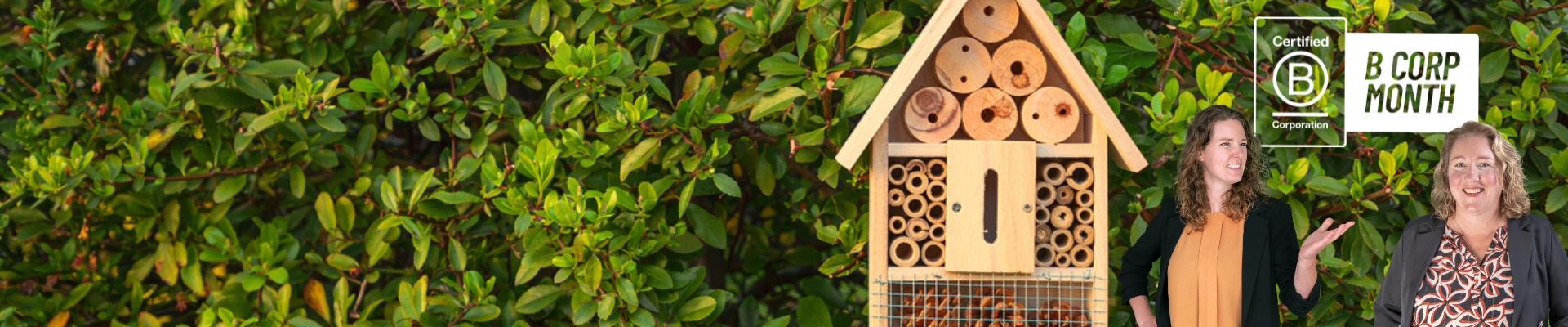 B Corp Month Website Header