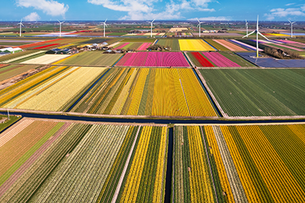 Istock 1468601980 600Px