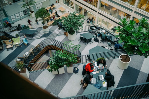 Beeldkrakers MKB Digital Hva II 31