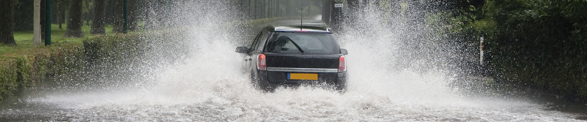 iStock-176956186 (1).jpg